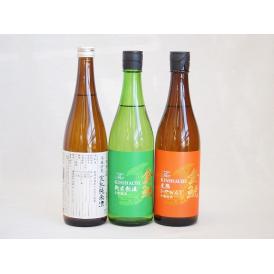 年に一度の豪華日本酒3本セット(ひやおろし低温貯蔵完熟純米 金鯱 完熟ひやおろし本醸造 金鯱 生貯新