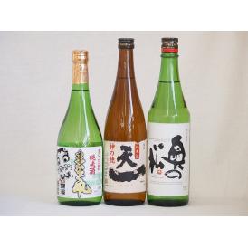 選りすぐり地酒3本セット(奥の松 特別純米(福島県) 秋田銘醸 まなぐ凧 純米 早川酒造 天一純米(