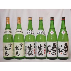 東北銘酒蔵より6本セット(大七 生もと純米(福島県) 雪の松島 特別純米(宮城県) 奥の松 特別純米