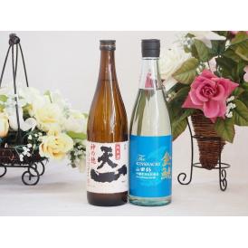 日本酒決定版2本セット(金鯱 山田錦吟醸原酒生貯蔵 早川酒造 天一純米(三重県)) 720ml×2本