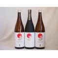 金鯱スペシャル3本セット(金鯱酒造 極旨(愛知県) 金鯱 大吟醸) 1800ml×3本