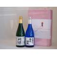 贈り物セット 厳選熊本県米焼酎2本セット(黒麹仕込芋焼酎 王道楽土 純米焼酎 川辺) 720ml×2