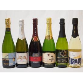 甘口スパークリング6本ワインセット(イタリア天使のアスティ スペインカラヴィニャモスカート スペイン