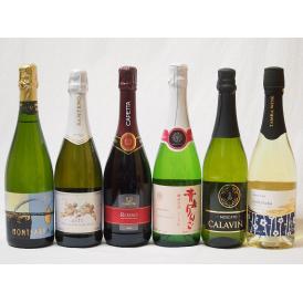 甘口スパークリング6本ワインセット(イタリア天使のアスティ スペインカラヴィニャモスカート スペイン