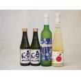 日本酒スパークリング飲み比べ4本セット(奥の松酒造 スパークリング日本酒 純米大吟醸（福島県） 京都