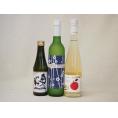 日本酒スパークリング飲み比べ3本セット(奥の松酒造 スパークリング日本酒 純米大吟醸（福島県） 京都