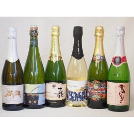 甘口スパークリングわいん6本セット(イタリア天使のアスティ スペインモンサラ・カヴァ・セミセック 嘉