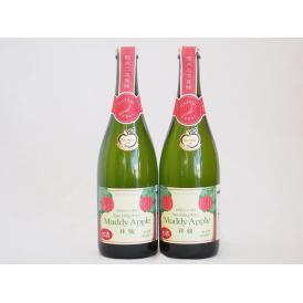 マディアップル ドライ4本セット 長野県産りんご!100%辛口alc7% 750ml×4本