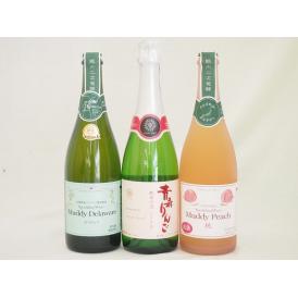 果物スパークリングワイン3本セット(マディ 山梨県産デラウェアぶどう100% ほんのり甘さalc9%
