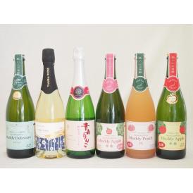 果物スパークリングワイン6本セット(マディ 山梨県産デラウェアぶどう100% ほんのり甘さalc9%
