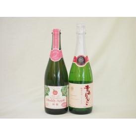 果物スパークリングワイン2本セット(マディアップル セミスイート 青森県!100%やや甘口alc3%