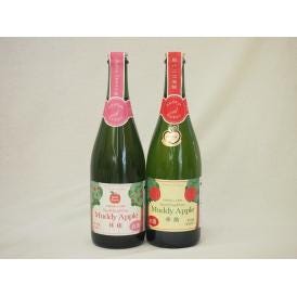 果物スパークリングワイン2本セット(マディアップル セミスイート 青森県!100%やや甘口alc3%