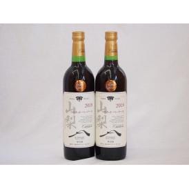 山梨県産マスカット・ベーリー2本セットA赤ワイン(中重口)750ml×2