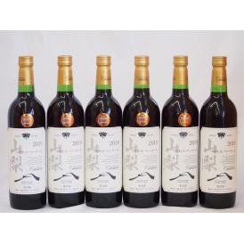 山梨県産マスカット・ベーリー6本セットA赤ワイン(中重口)750ml×6