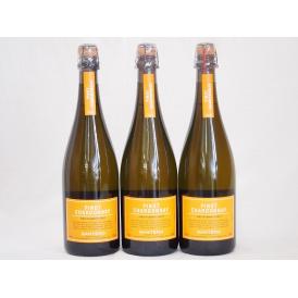 ピノ シャルドネ3本セット スプマンテ サンテロ白(イタリア) 750ml×3