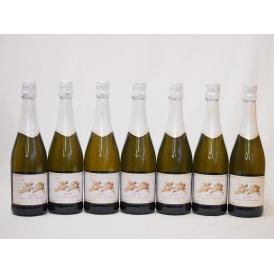 イタリア天使のアスティ7本セット750ml×7本