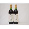 山梨県産マスカット・ベーリー2本セットA赤ワイン(中重口)750ml×2