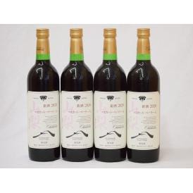 山梨県産マスカット・ベーリー4本セットA赤ワイン(中重口)750ml×4