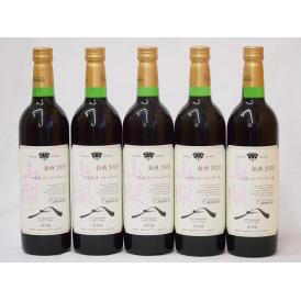 山梨県産マスカット・ベーリー5本セットA赤ワイン(中重口)750ml×5