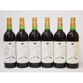 山梨県産マスカット・ベーリー6本セットA赤ワイン(中重口)750ml×6
