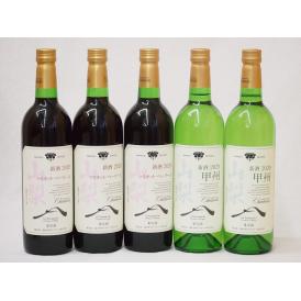 山梨県産100％ワイン5本セット(山梨県産マスカット・ベーリーA赤ワイン(中重口) 山梨県産甲