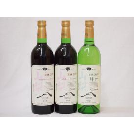 山梨県産100％ワイン3本セット(山梨県産マスカット・ベーリーA赤ワイン(中重口) 山梨県産甲