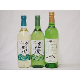 山梨県産100％ワイン3本セット(実りの収穫 勝沼ワインバレー仕込み 辛口白ワイン 実りの収穫 勝沼