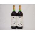 山梨県産マスカット・ベーリー2本セットA赤ワイン(中重口)750ml×2