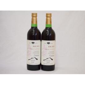 山梨県産マスカット・ベーリー2本セットA赤ワイン(中重口)750ml×2