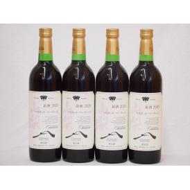山梨県産マスカット・ベーリー4本セットA赤ワイン(中重口)750ml×4