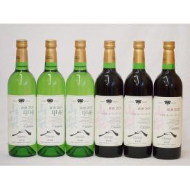 山梨県産100％ワイン6本セット(山梨県産甲州種ぶどう白ワイン(やわらかな辛口)  山梨県産マスカット・ベ