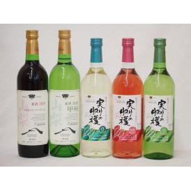 山梨県産100％ワイン5本セット(山梨県産マスカット・ベーリーA赤ワイン(中重口) 山梨県産甲