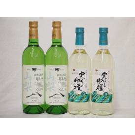 山梨県産100％ワイン4本セット(山梨県産甲州種ぶどう白ワイン(やわらかな辛口) 実りの収穫 勝沼ワインバ