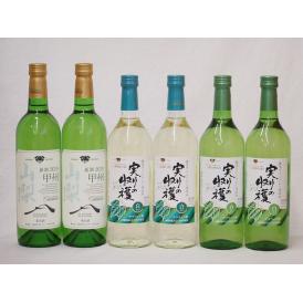 山梨県産100％ワイン6本セット(山梨県産甲州種ぶどう白ワイン(やわらかな辛口) 実りの収穫 勝沼ワインバ
