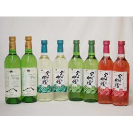 山梨県産100％ワイン8本セット(山梨県産甲州種ぶどう白ワイン(やわらかな辛口) 実りの収穫 勝沼ワインバ
