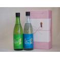 年に一度の醸造日本酒贈り物2本セット(金鯱 山田錦吟醸原酒生貯蔵 金鯱 生貯新米新酒) 720ml×
