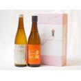 年に一度の醸造日本酒贈り物2本セット(ひやおろし低温貯蔵完熟純米 金鯱 完熟ひやおろし本醸造) 72