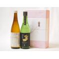 年に一度の醸造日本酒贈り物2本セット(ひやおろし低温貯蔵完熟純米 金鯱 純米夢吟香) 720ml×2