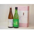 年に一度の醸造日本酒贈り物2本セット(ひやおろし低温貯蔵完熟純米 金鯱 生貯新米新酒) 720ml×