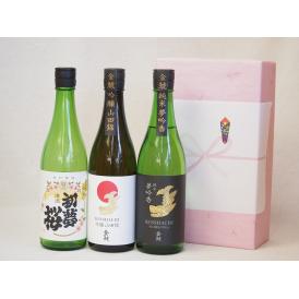 年に一度の醸造日本酒贈り物3本セット(金鯱 吟醸山田錦 金鯱 純米夢吟香 金鯱 初夢桜 純米) 72