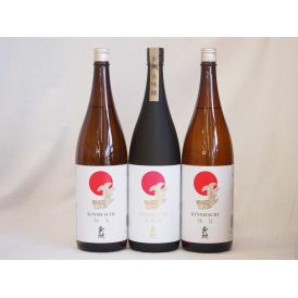 冬の贈り物感謝贈り物 愛知金鯱 3本セット(金鯱 大吟醸 金鯱酒造 極旨(愛知県)) 1800ml×3本