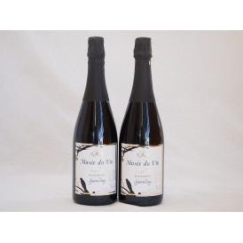 2本セット(長野県産100％辛口スパークリング赤ワイン オアシス ミュゼドゥヴァン  ブラッククイー