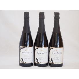 3本セット(長野県産100％辛口スパークリング赤ワイン オアシス ミュゼドゥヴァン  ブラッククイー