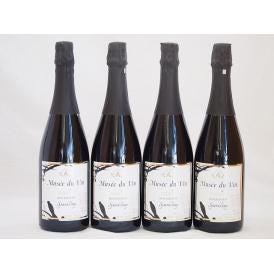 4本セット(長野県産100％辛口スパークリング赤ワイン オアシス ミュゼドゥヴァン  ブラッククイー