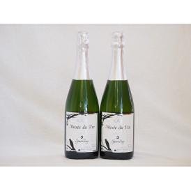 2本セット(長野県産100％辛口スパークリング白ワイン オアシス ミュゼドゥヴァン3 ブラッククイー