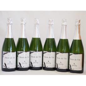 6本セット(長野県産100％辛口スパークリング白ワイン オアシス ミュゼドゥヴァン3 ブラッククイー