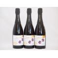 3本セット(京都丹後産サペラヴィ　スパークリング赤ワイン alc.11%中口) 750ml×3本