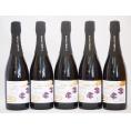 5本セット(京都丹後産サペラヴィ　スパークリング赤ワイン alc.11%中口) 750ml×5本