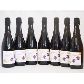 7本セット(京都丹後産サペラヴィ　スパークリング赤ワイン alc.11%中口) 750ml×7本