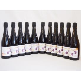 11本セット(京都丹後産サペラヴィ　スパークリング赤ワイン alc.11%中口) 750ml×11本